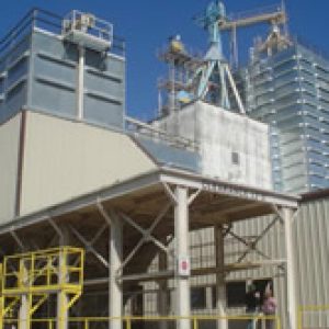 Grain silo cleaning experts from Mole•Master™ will ensure your grain bins are restored to full capacity quickly and safely.