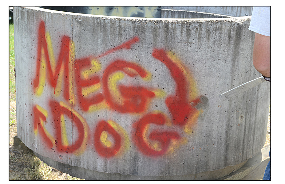 megdog_1