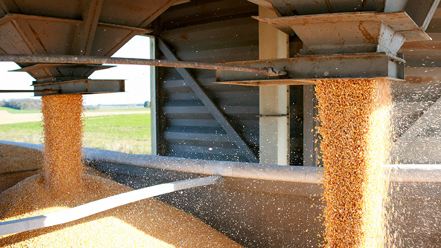 Expert silo unclogging in action