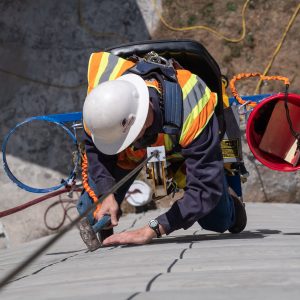Mole Master silo check timing inspection
