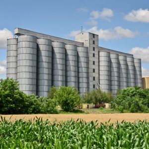 Mole Master grain silo mold prevention